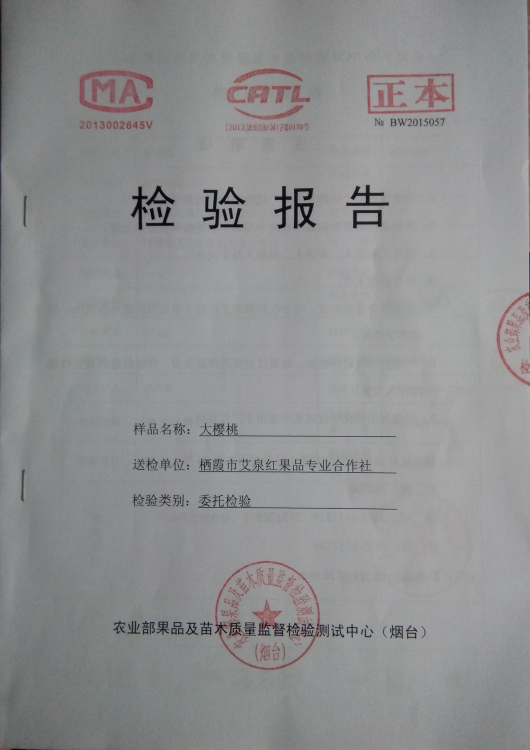大櫻桃富硒檢測報告